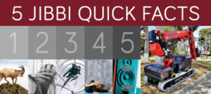 5 JIBBI QUICK FACT - Duralift